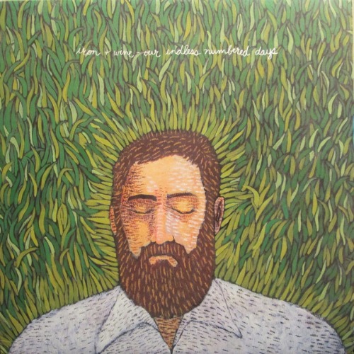 LP 아이언앤와인 Iron &amp; Wine - Our Endless Numbered Days