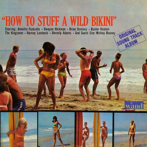 [중고] LP How To Stuff A Wild Bikini